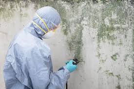 Best Forensic Mold Investigation  in Clinton, WI